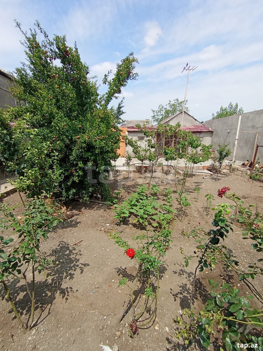 Həyət evi, Gəncə ş.
