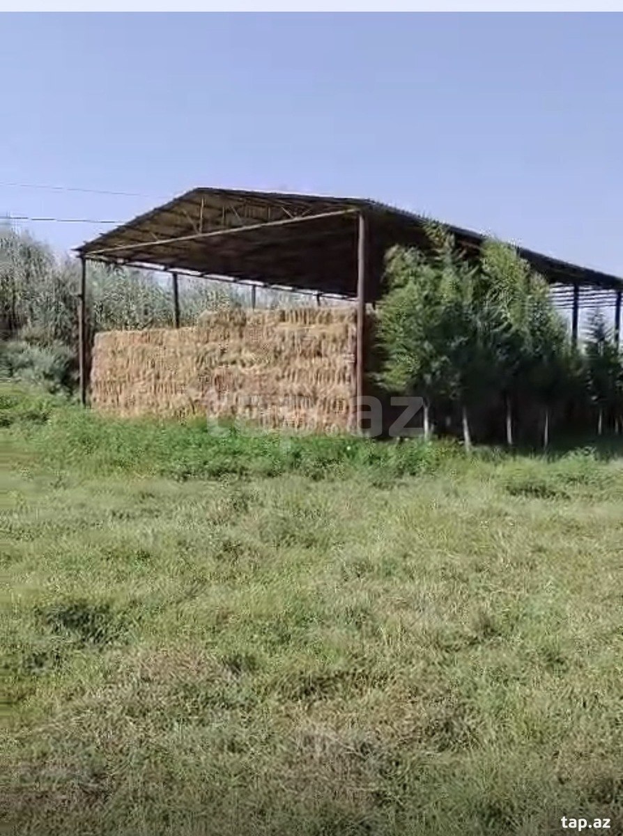 Obyekt satılır, Salyan, Salyan