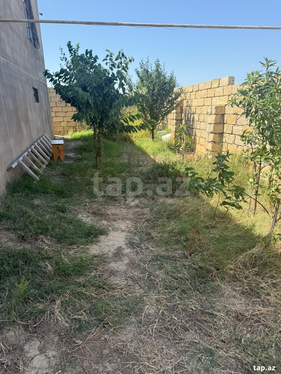 Həyət evi, Sulutəpə qəs.