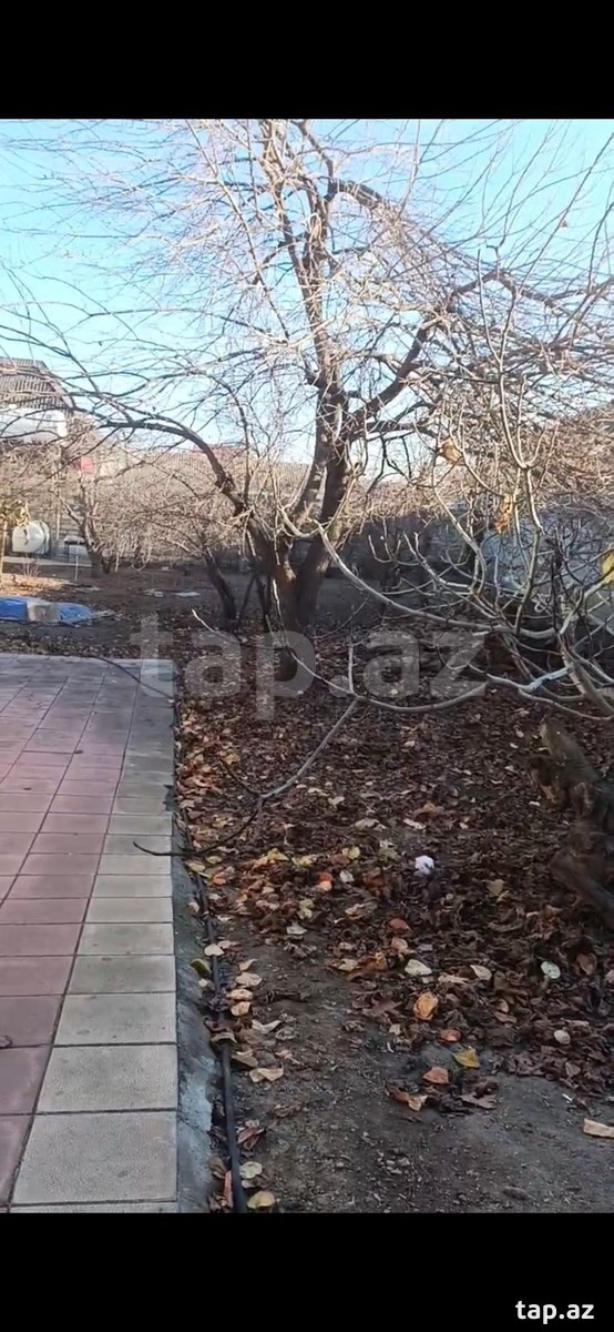 3 sot torpaq sahəsi, Ozan küç.