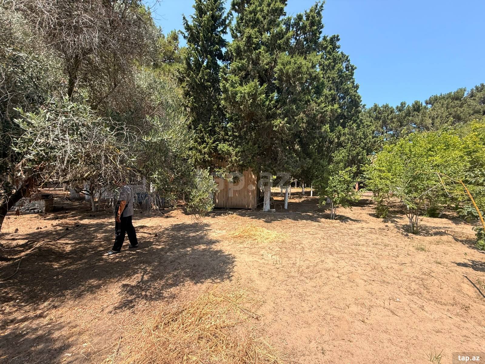 Torpaq satılır, Bakı
