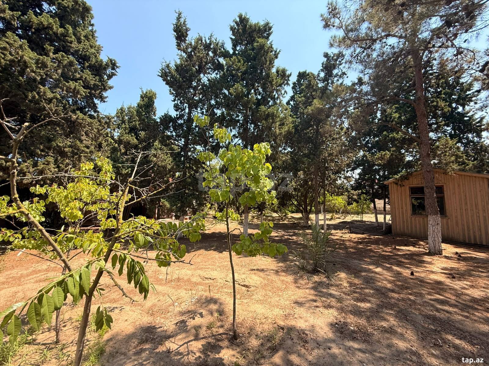 Torpaq satılır, Bakı