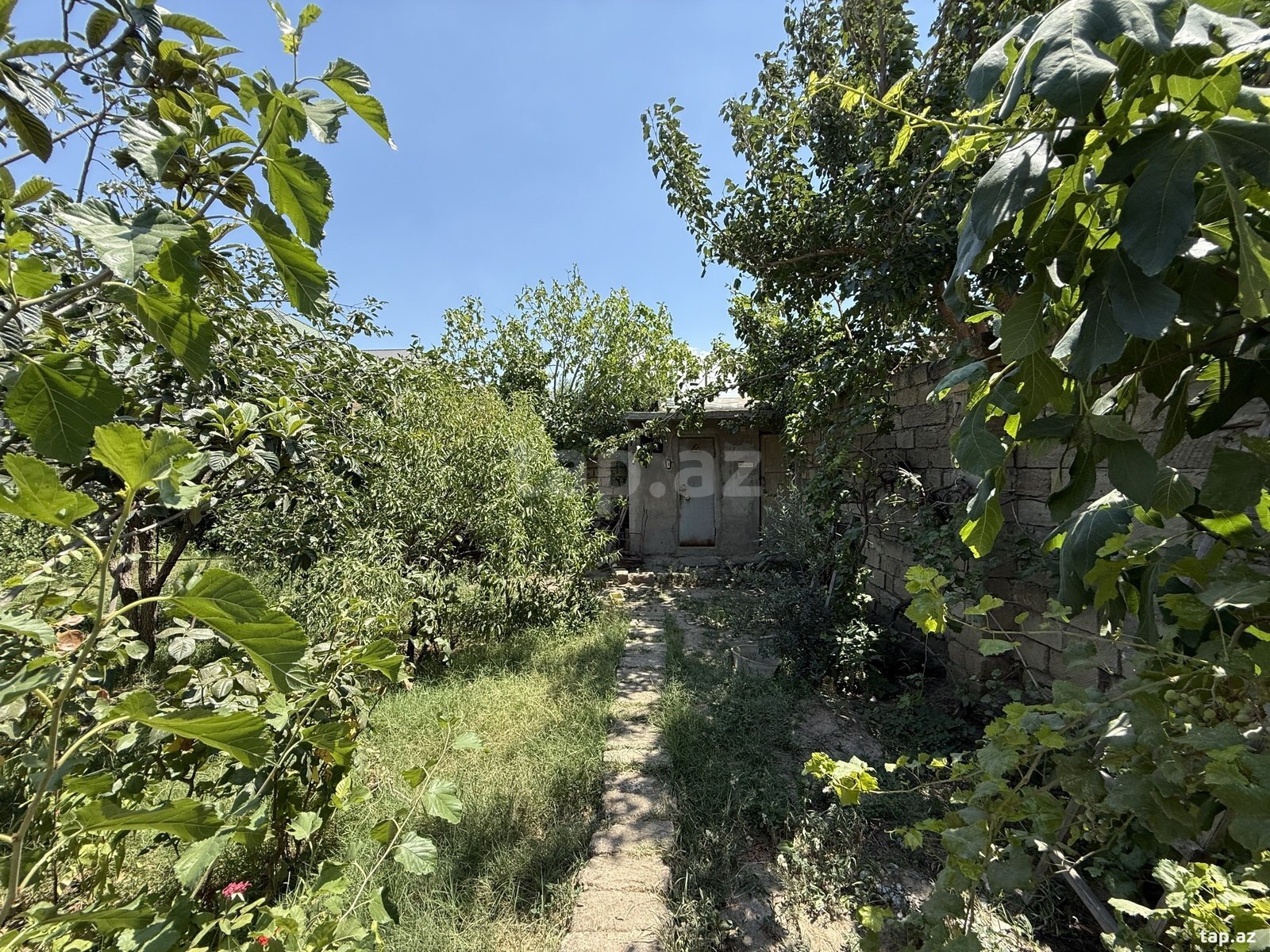 Həyət evi, Binəqədi qəs.