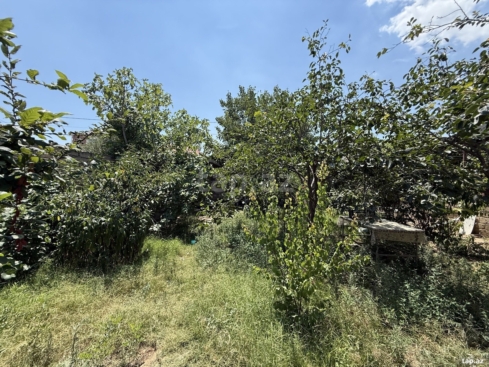 Həyət evi, Binəqədi qəs.