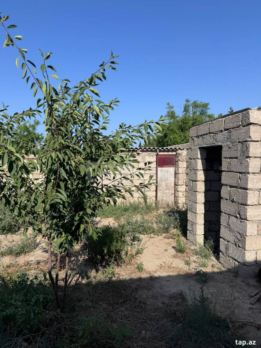 Bağ evi, Albalılıq qəs.