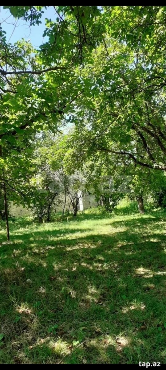 Həyət evi, Şəki r.