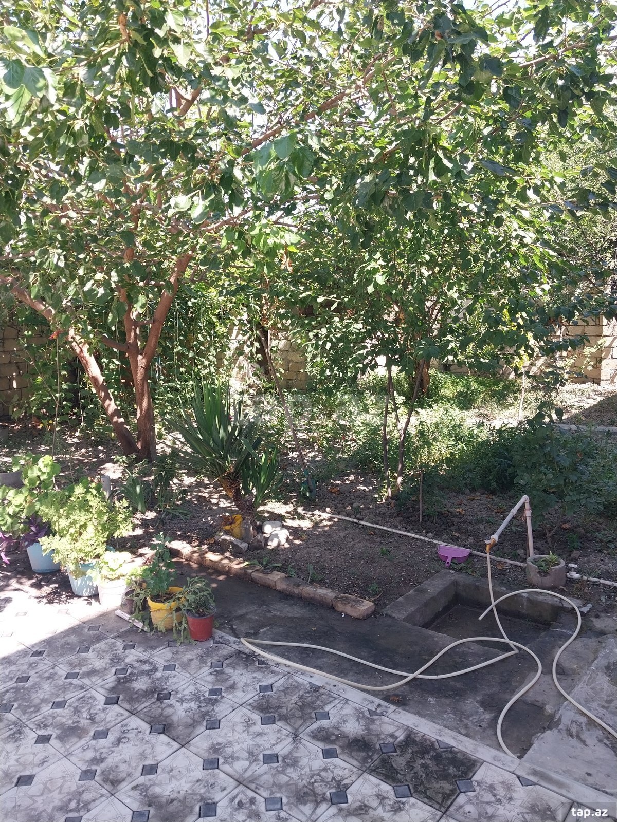 Həyət evi, Göyçay r.