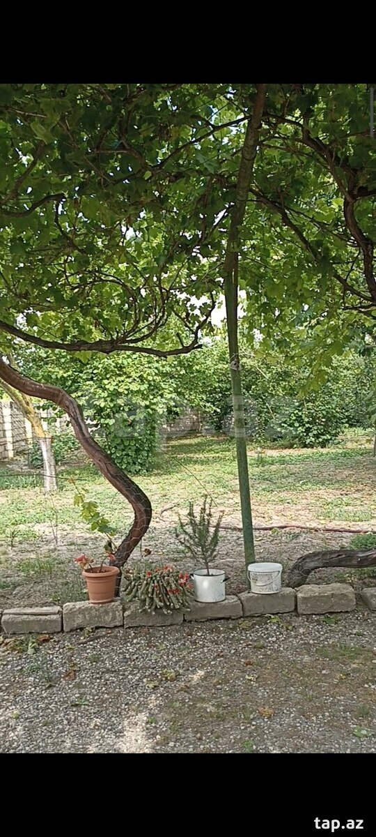Həyət evi, Xudat r.