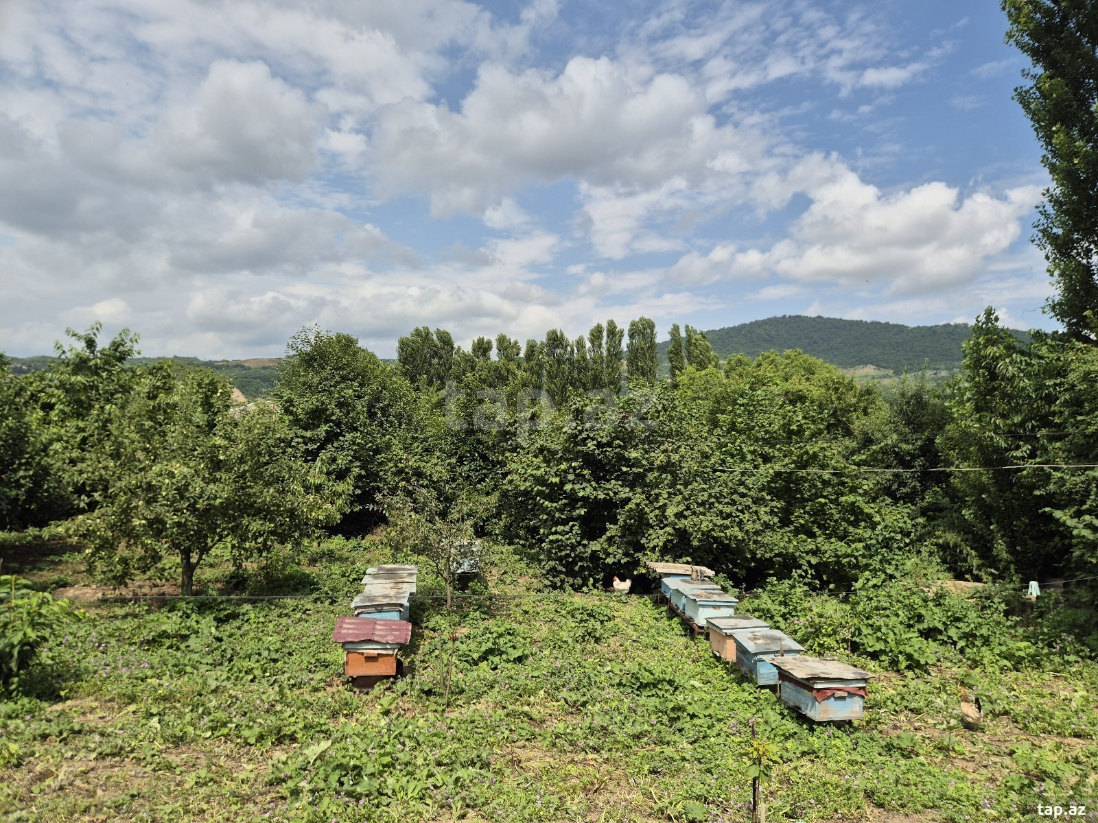 Həyət evi, Quba r.