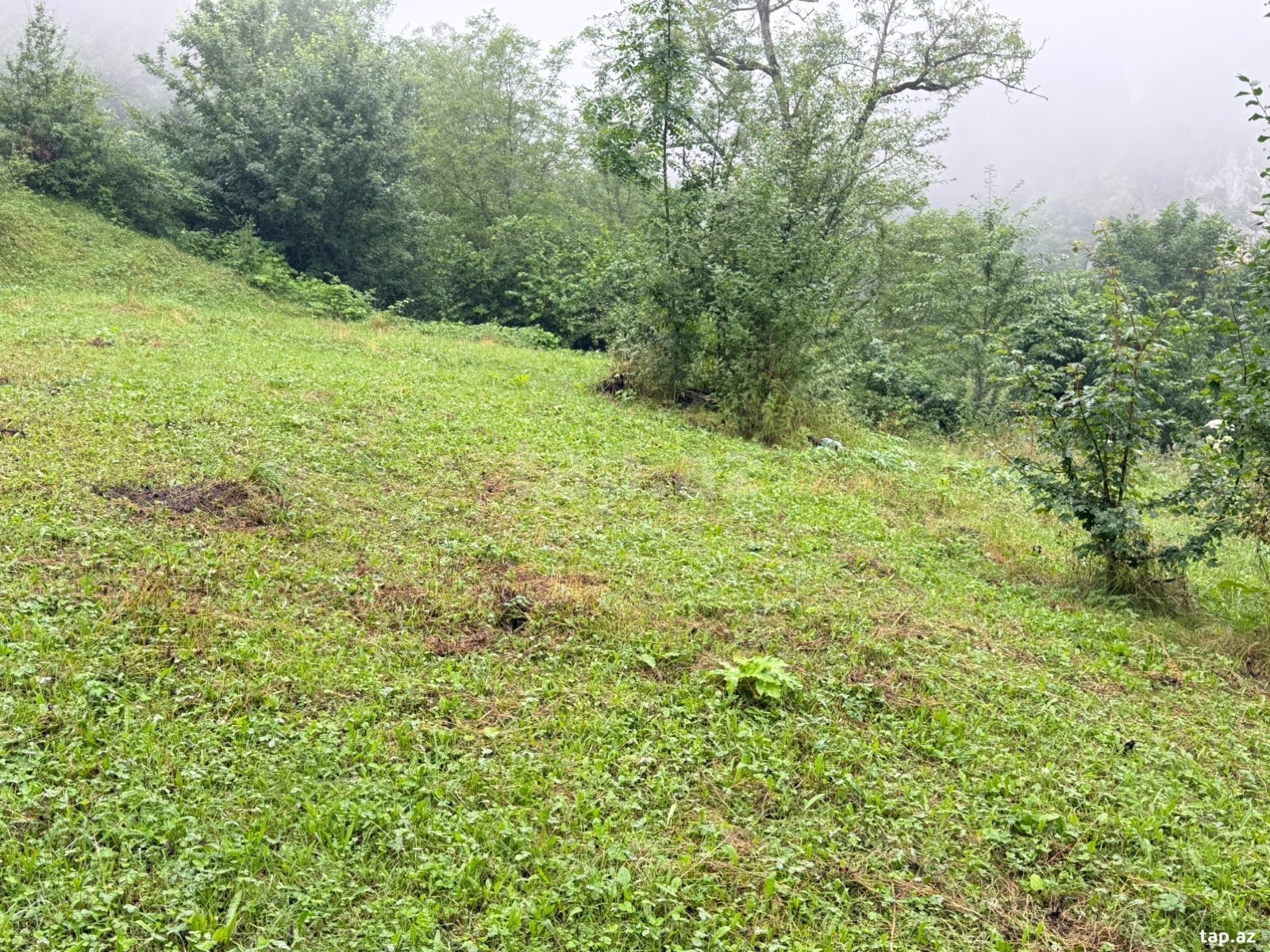 05 sot torpaq sahəsi, Quba r.