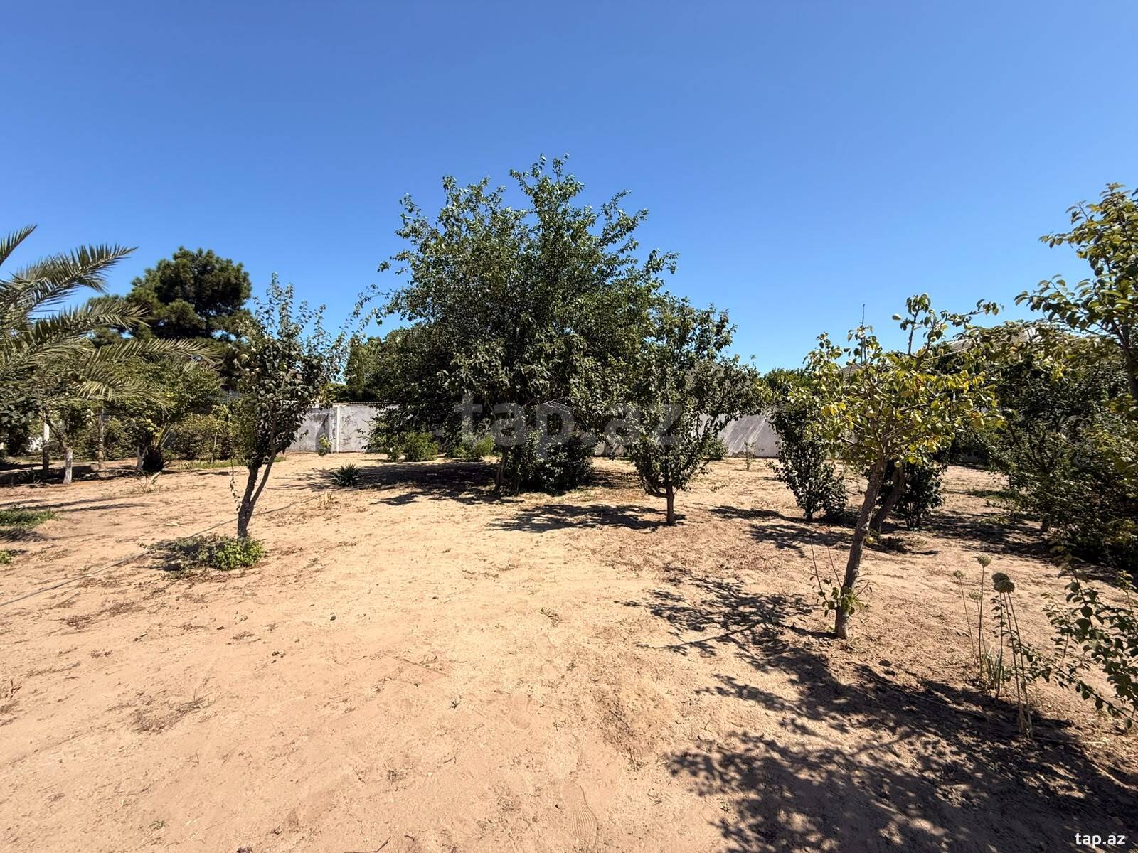 Land for sale, Shuvalan, Baku