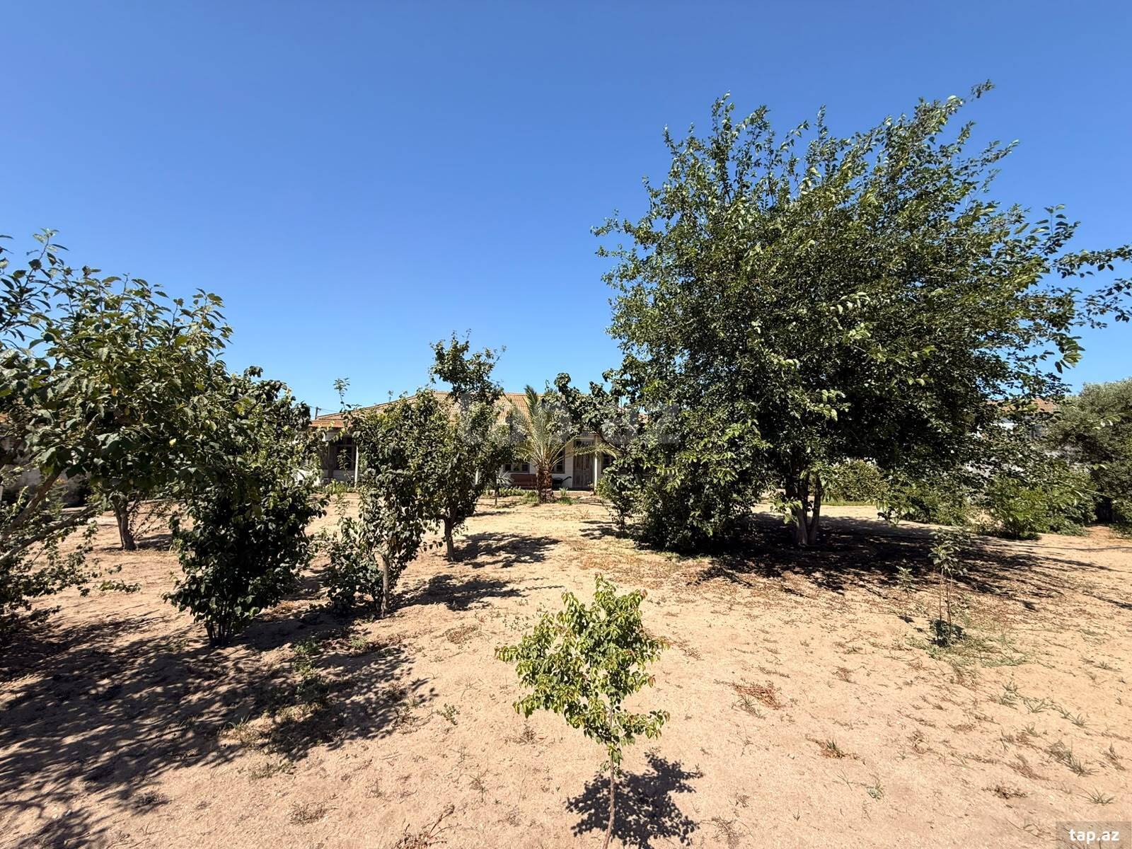 Land for sale, Shuvalan, Baku