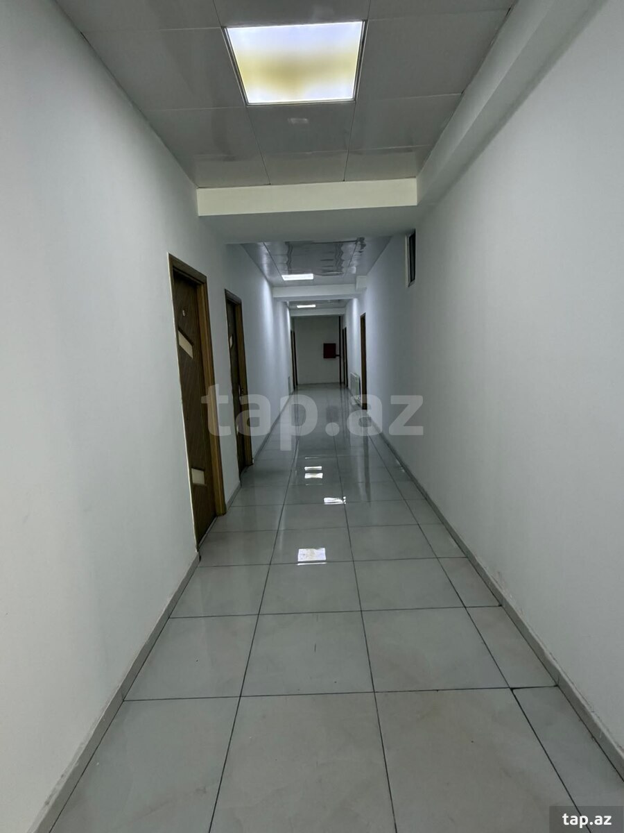 Ofis icarəyə verilir, Əli Nəzmi küç.