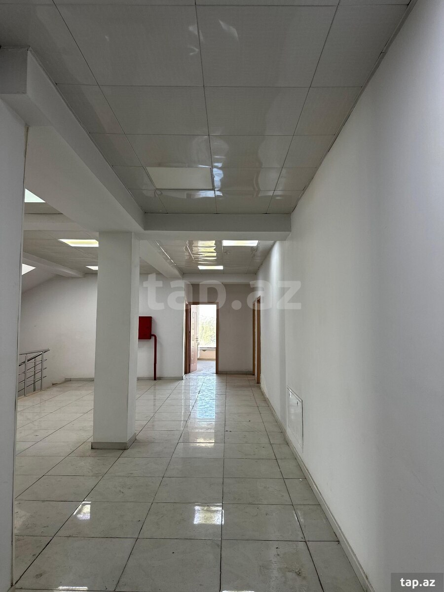Ofis icarəyə verilir, Əli Nəzmi küç.