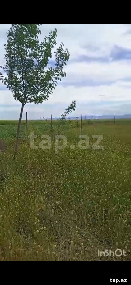 12 sot torpaq sahəsi, Cəlilabad r.