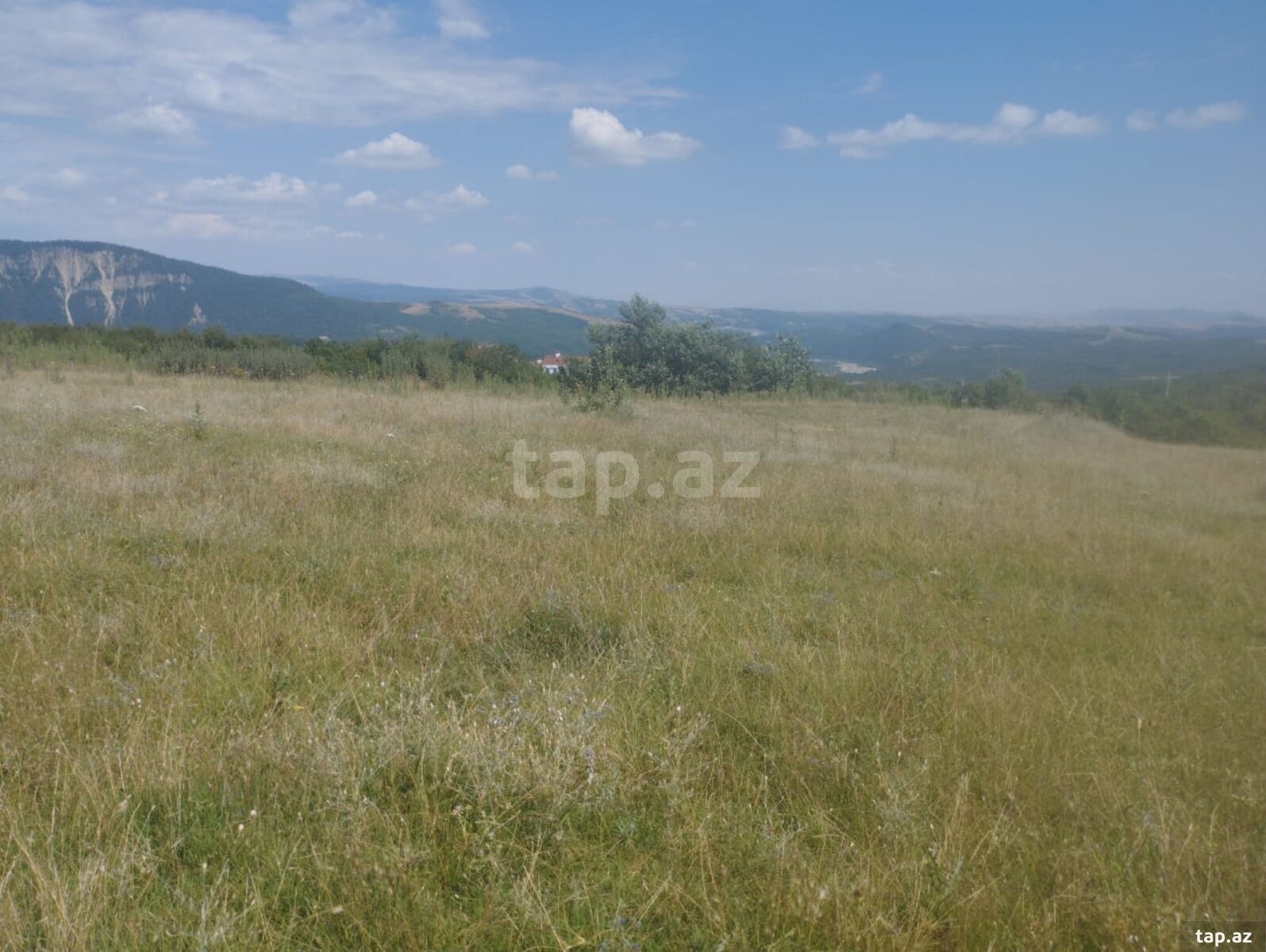 20 sot torpaq sahəsi, İsmayıllı r.