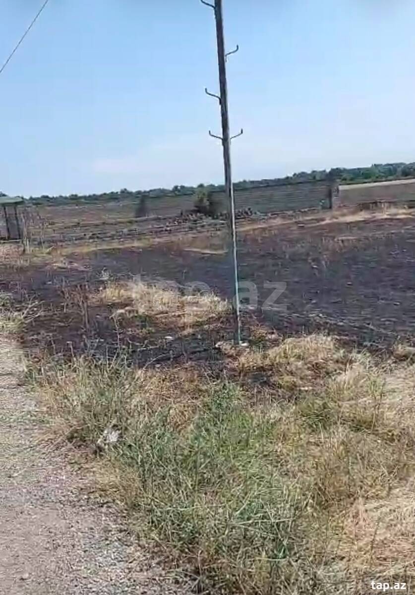 9 sot torpaq sahəsi, Nabran qəs.