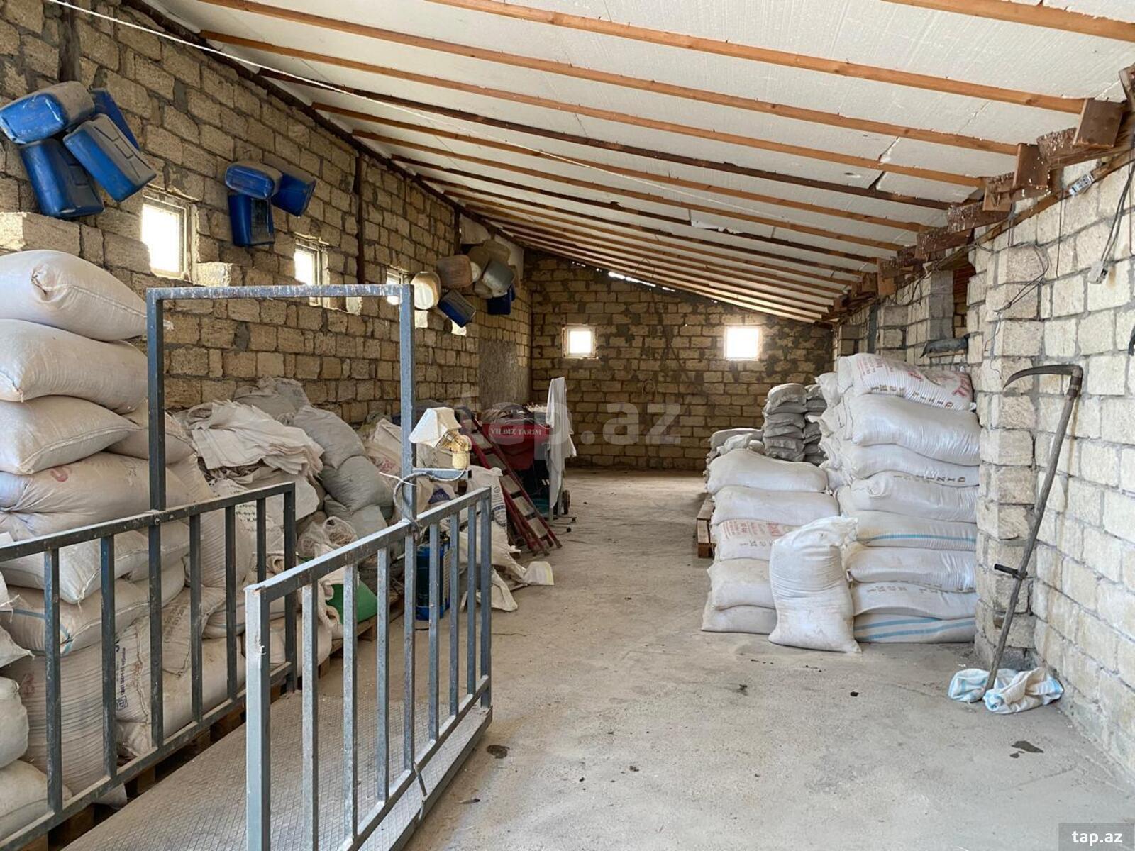 Obyekt, Saatlı r.