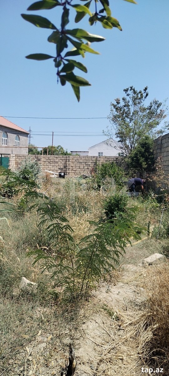 Torpaq satılır, Yaşıl dərə, Sumqayıt