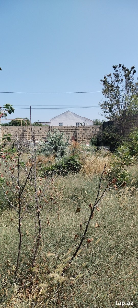 Torpaq satılır, Yaşıl dərə, Sumqayıt
