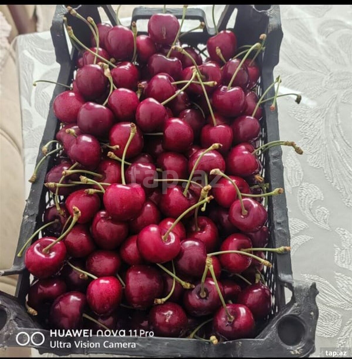 270 sot torpaq sahəsi, Xaçmaz r.
