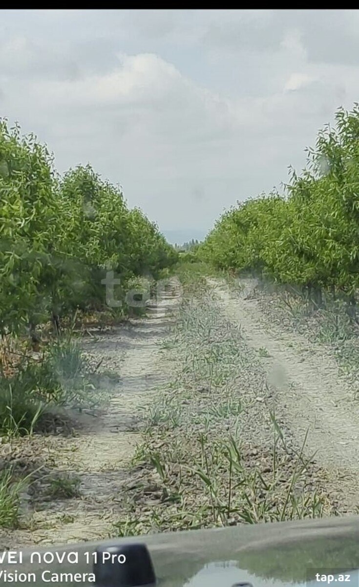 320 sot torpaq sahəsi, Xaçmaz r.