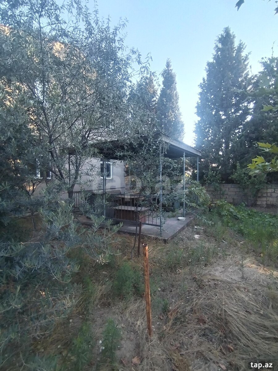 12 sot torpaq sahəsi, Pirşağı qəs.