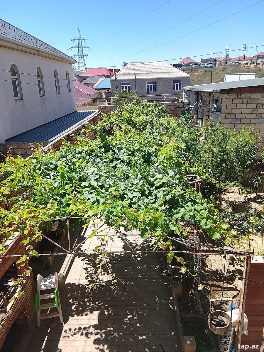 Həyət evi, Hökməli qəs.