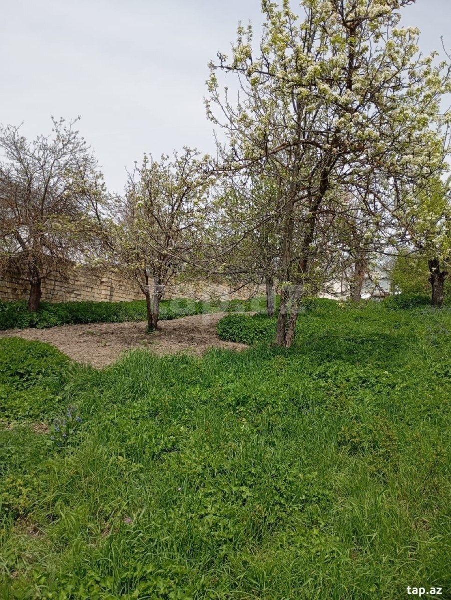30 sot torpaq sahəsi, Şamaxı r.