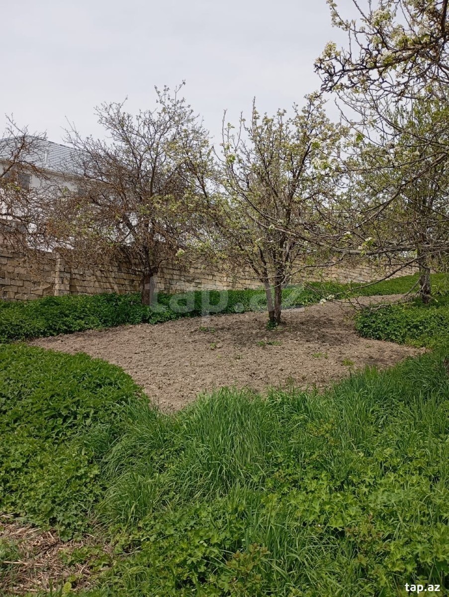30 sot torpaq sahəsi, Şamaxı r.