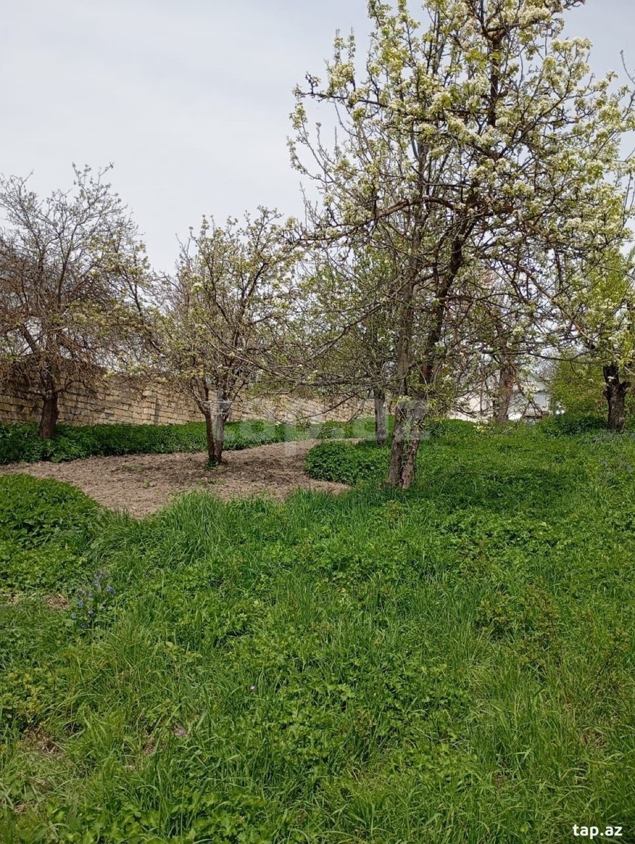 30 sot torpaq sahəsi, Şamaxı r.