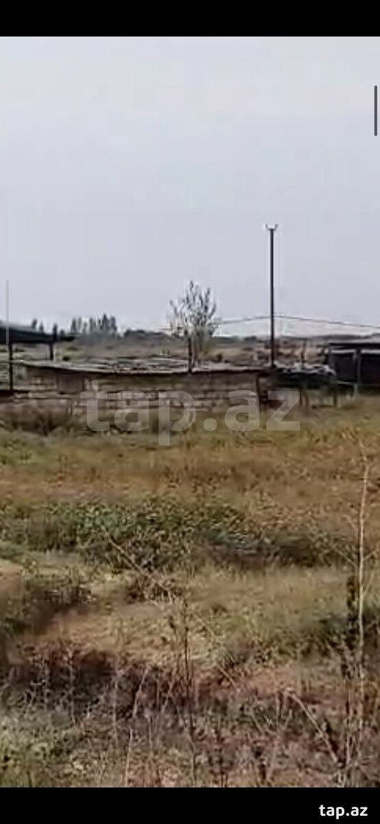 Obyekt, Saatlı r.