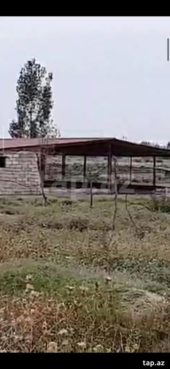 Obyekt, Saatlı r.