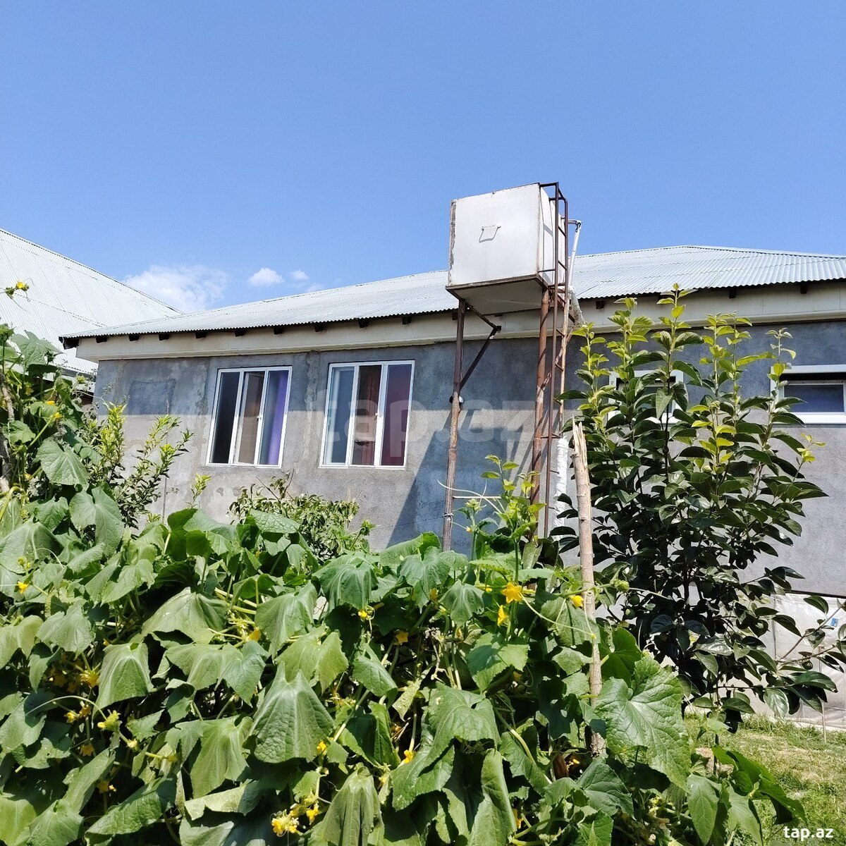 Həyət evi, Şəki ş.