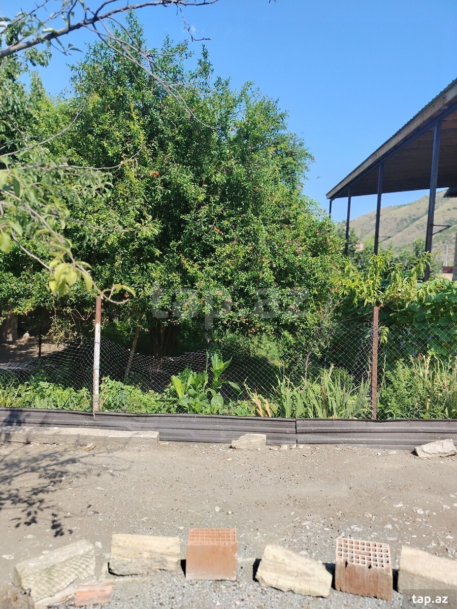 Həyət evi, Şəki ş.