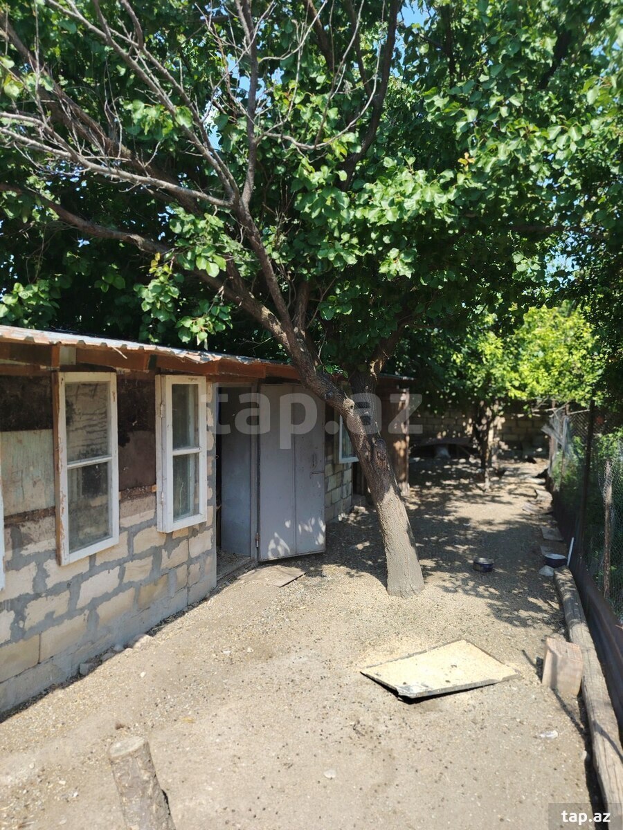 Həyət evi, Şəki ş.