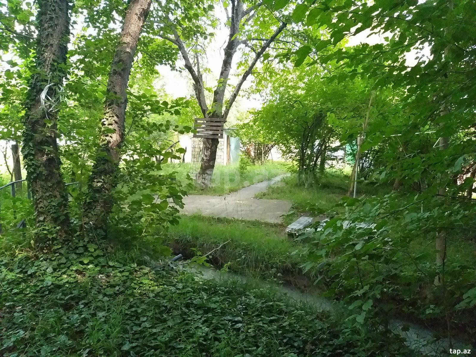 Həyət evi, İsmayıllı r.
