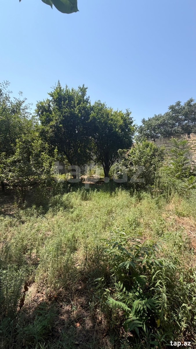 Həyət evi, Qobu qəs.