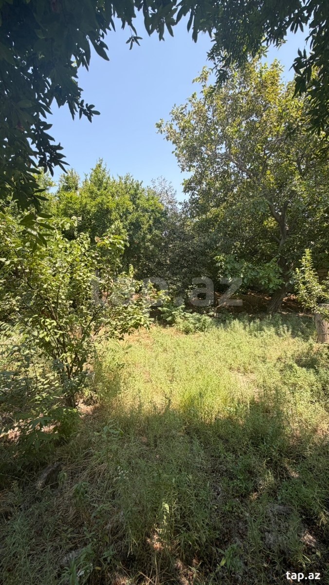 Həyət evi, Qobu qəs.