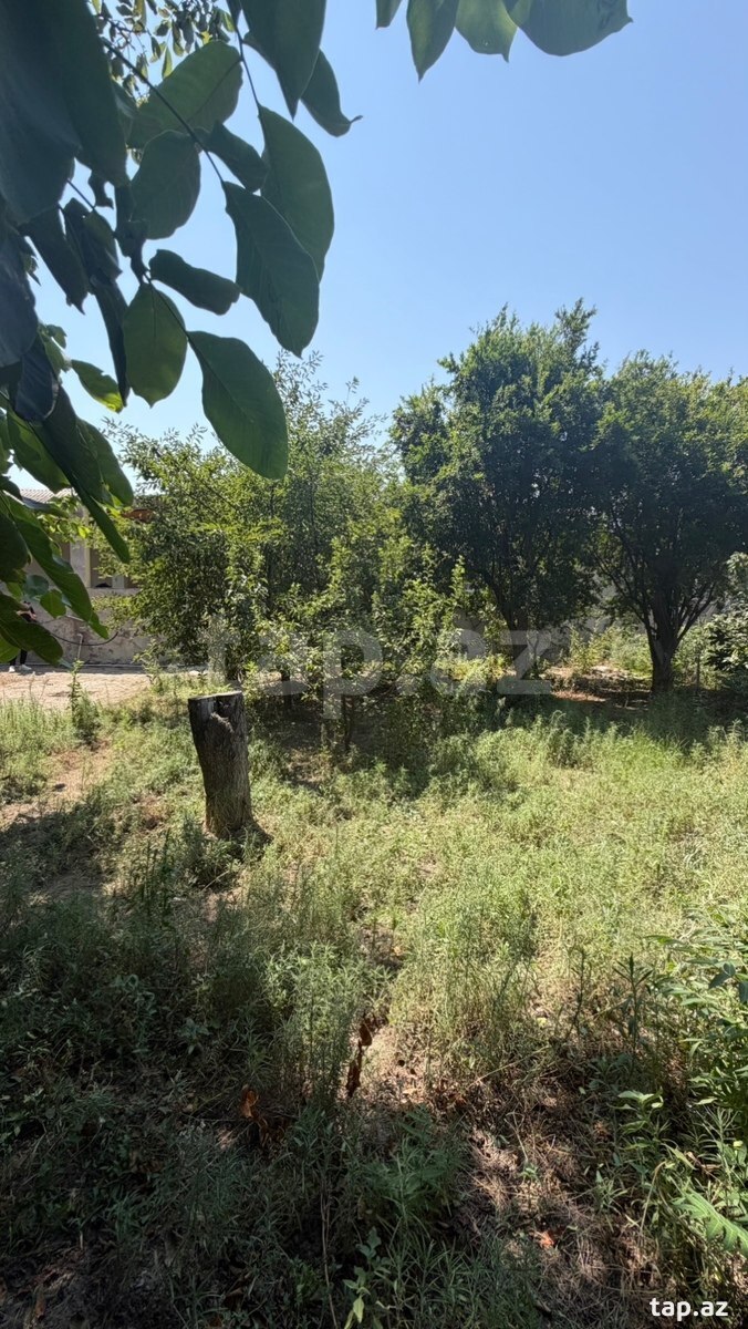 Həyət evi, Qobu qəs.