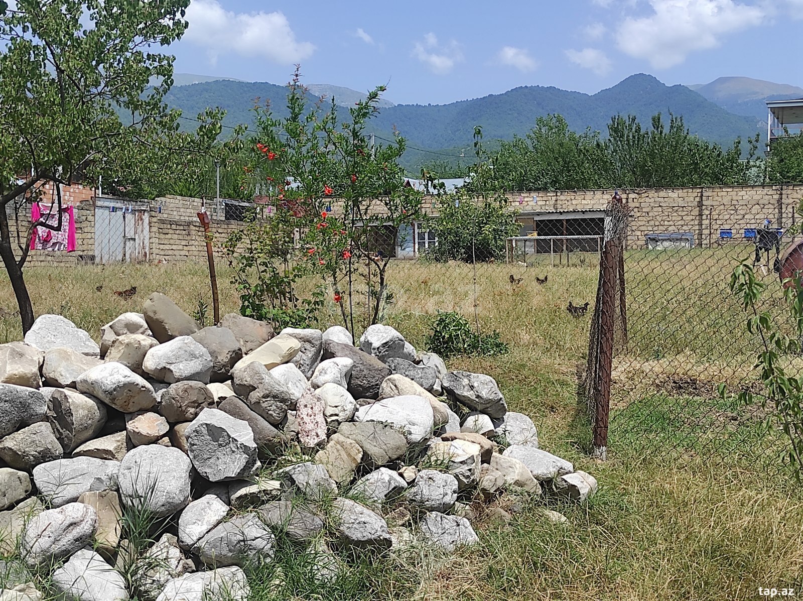 Land for sale, Ismayilli, Ismayilli