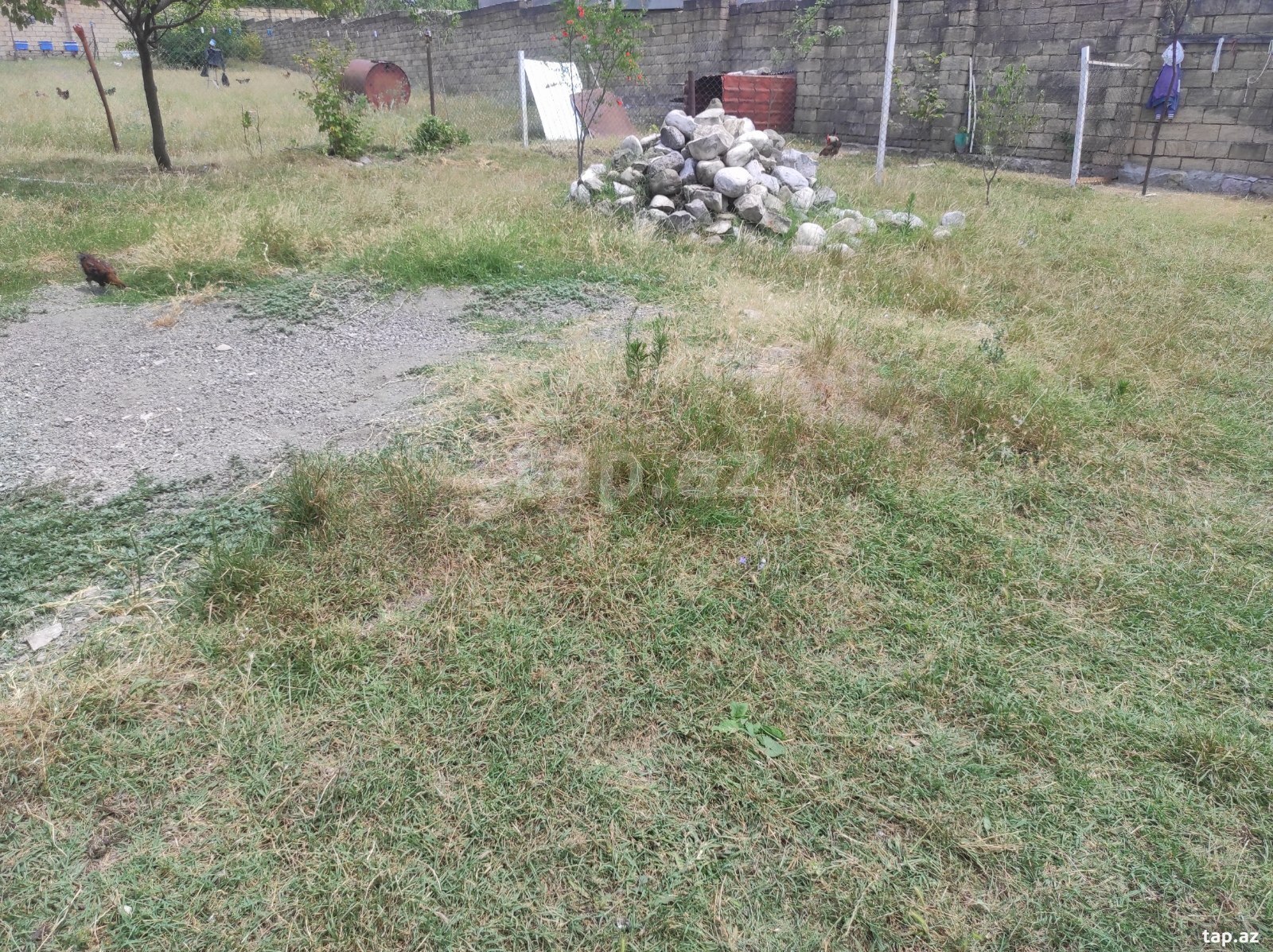 Land for sale, Ismayilli, Ismayilli