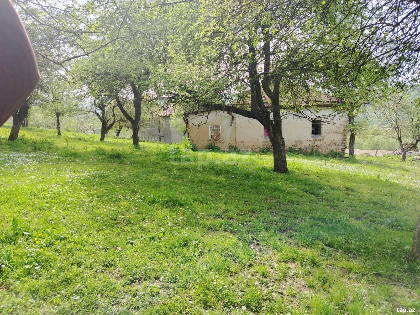 Torpaq satılır, Quba