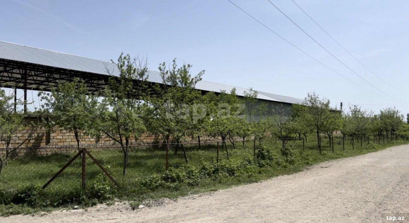 10000 sot torpaq sahəsi, Oğuz r.