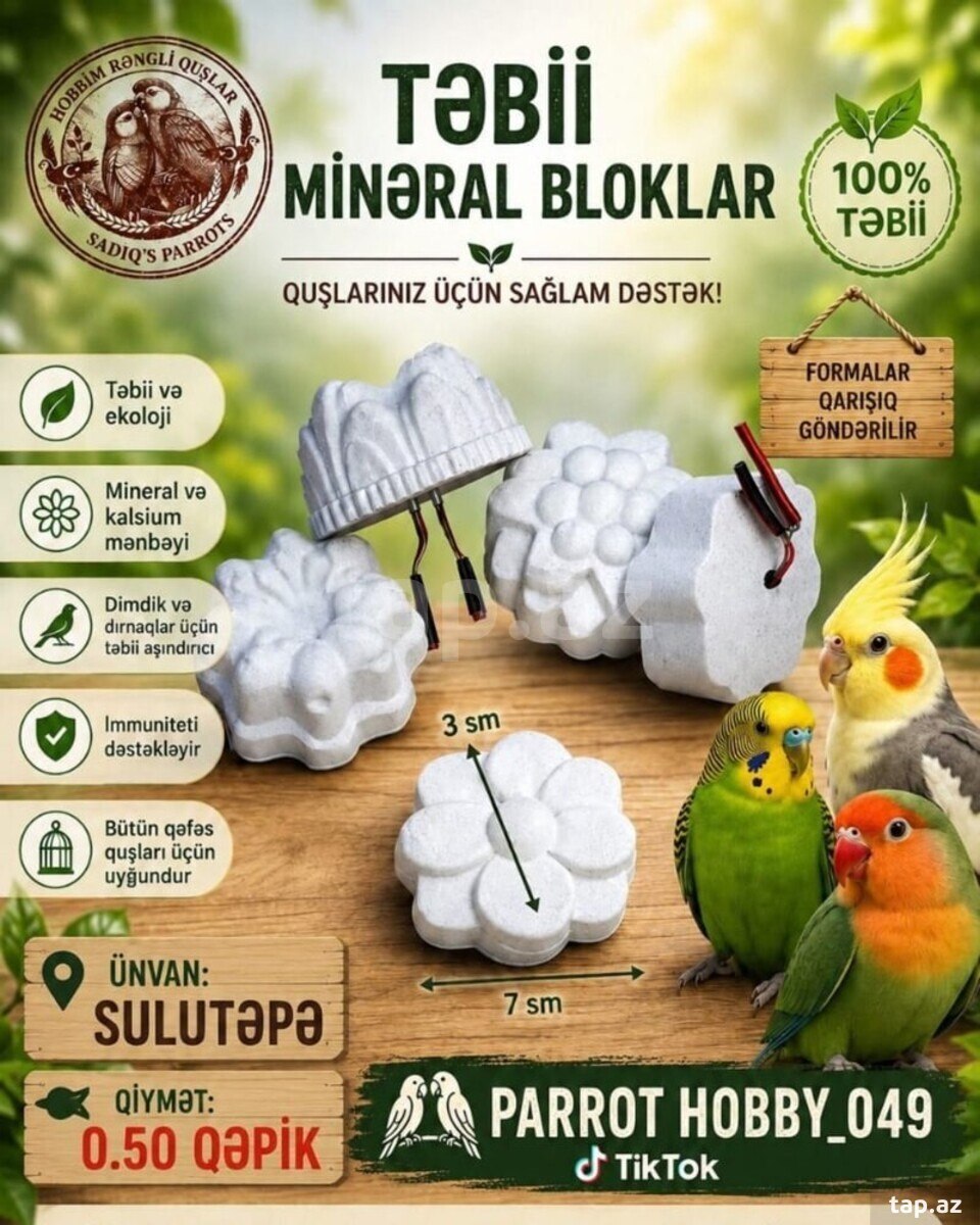 Mineral bloklar