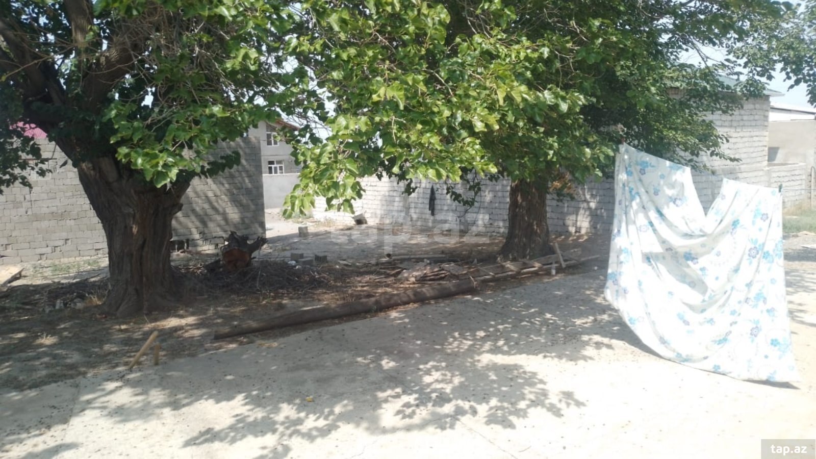 7 sot torpaq sahəsi, Əliabad qəs.