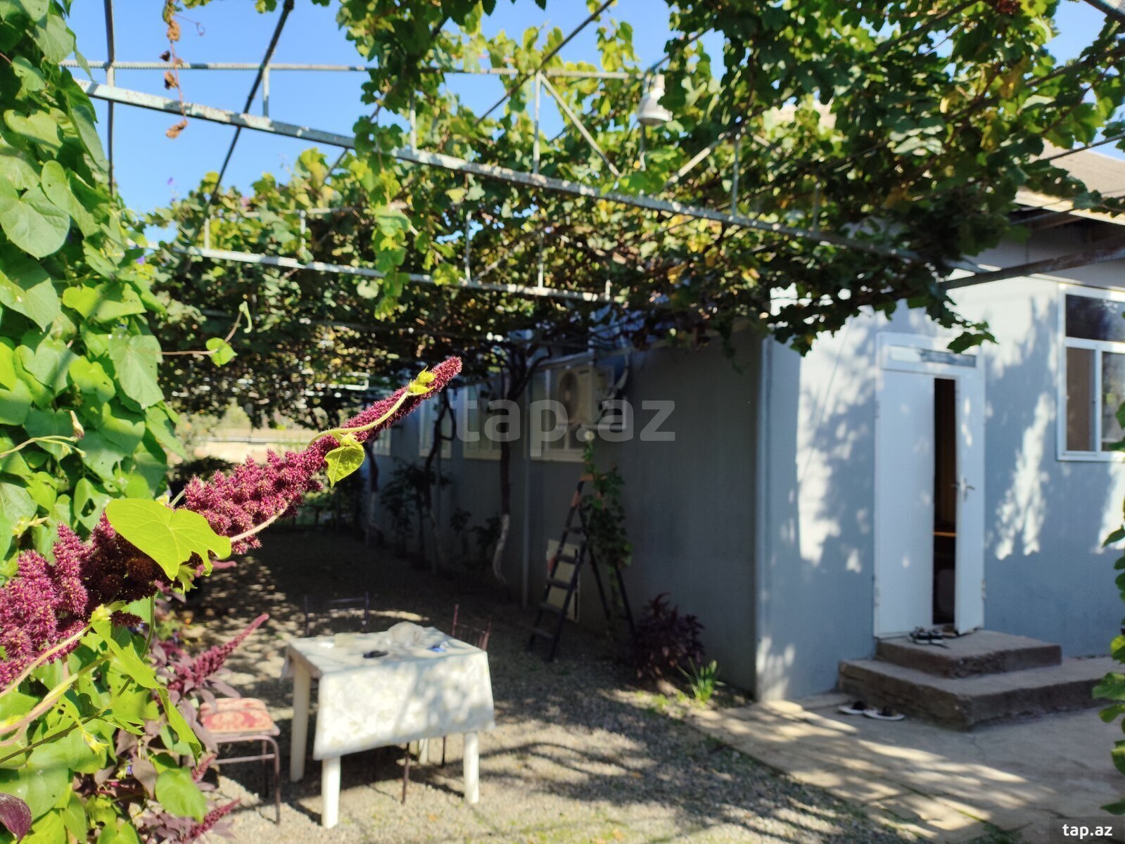 Həyət evi, Biləsuvar r.