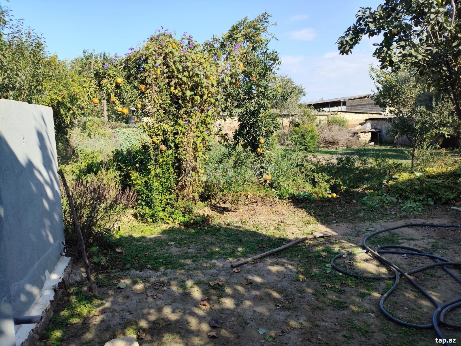 Həyət evi, Biləsuvar r.