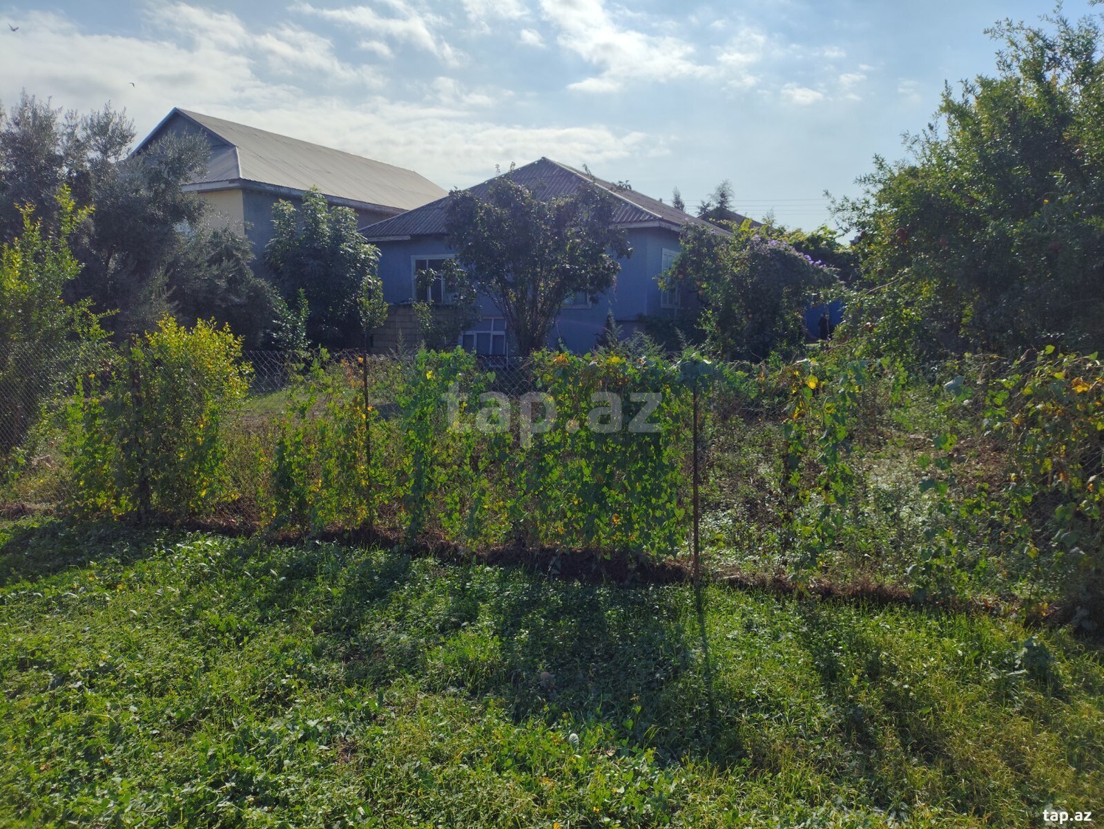 Həyət evi, Biləsuvar r.