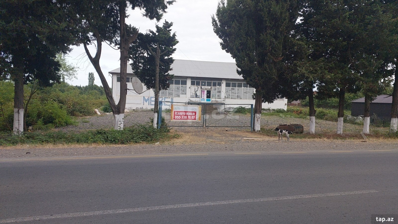 Mağaza icarəyə verilir, Astara r.